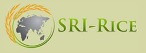 SRI-Rice Center