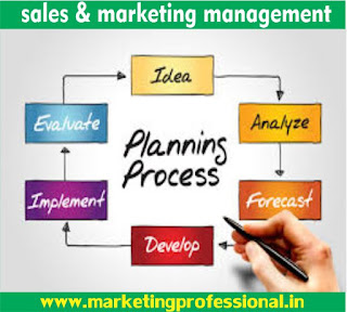 sales and marketing management marketing professional