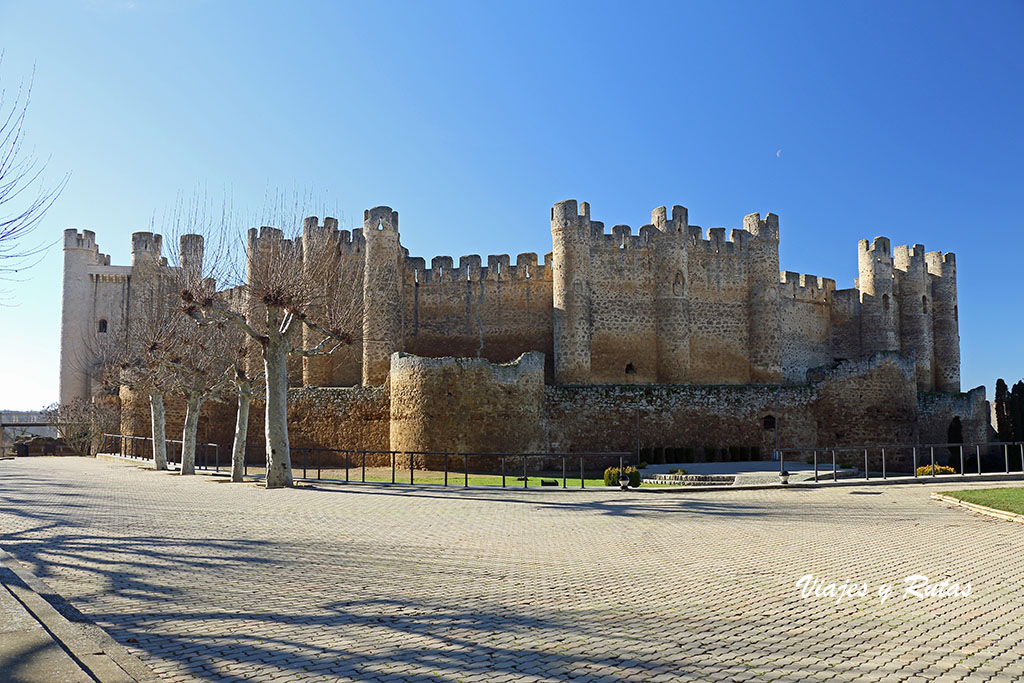 Castillo de Coyanza de Valencia de Don Juan