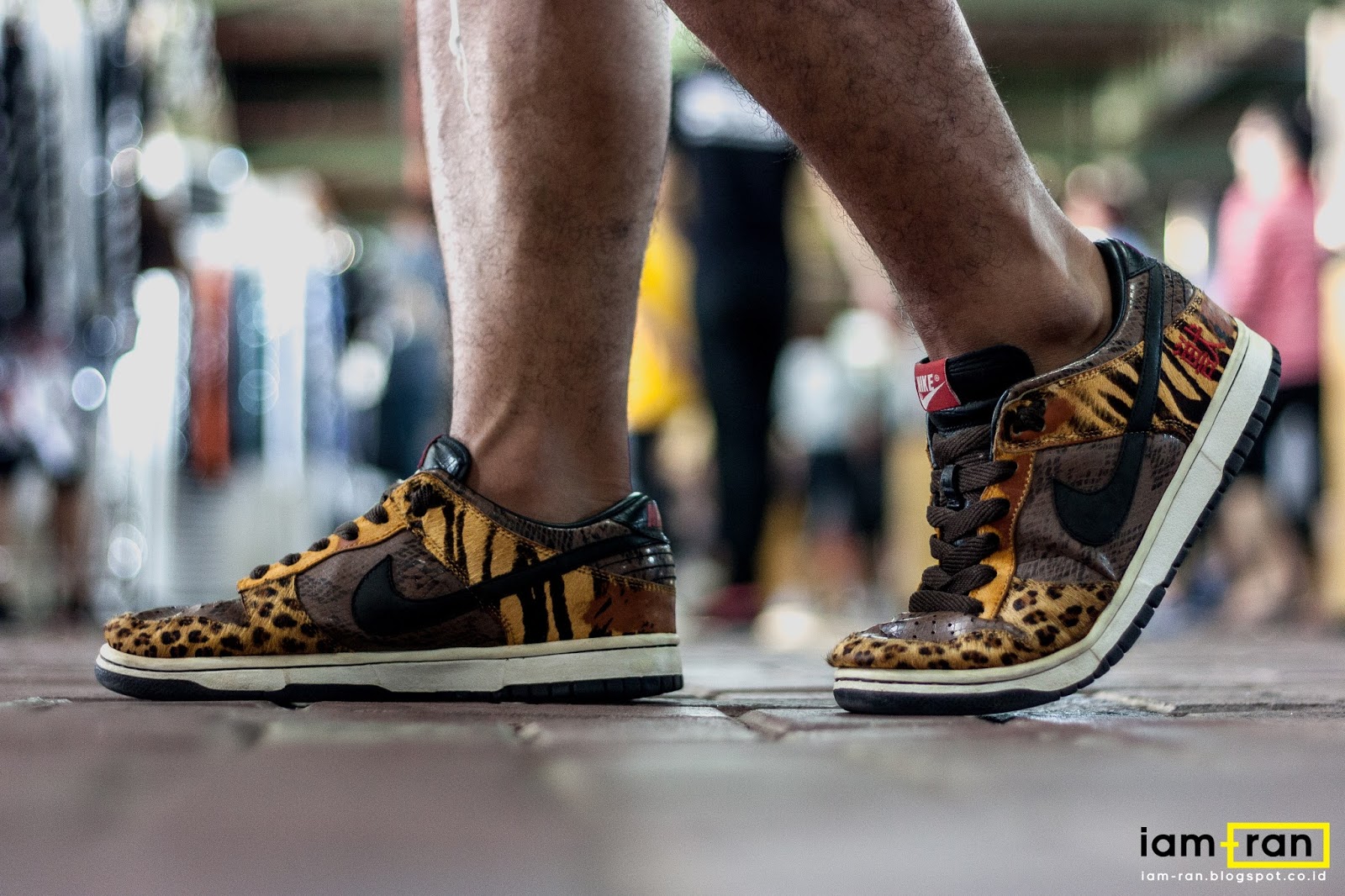 nike dunk beast pack