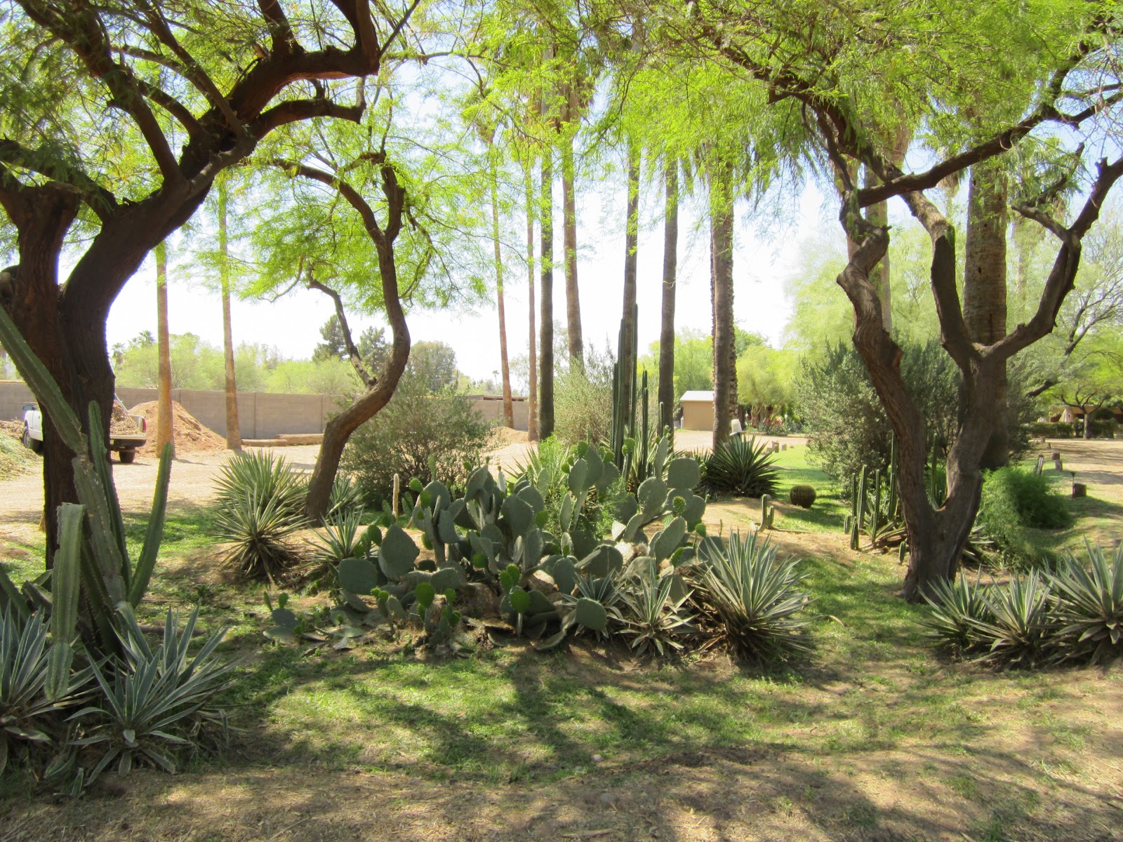 A & E's Adventures Exploring Arizona (The Farm at) South Mountain