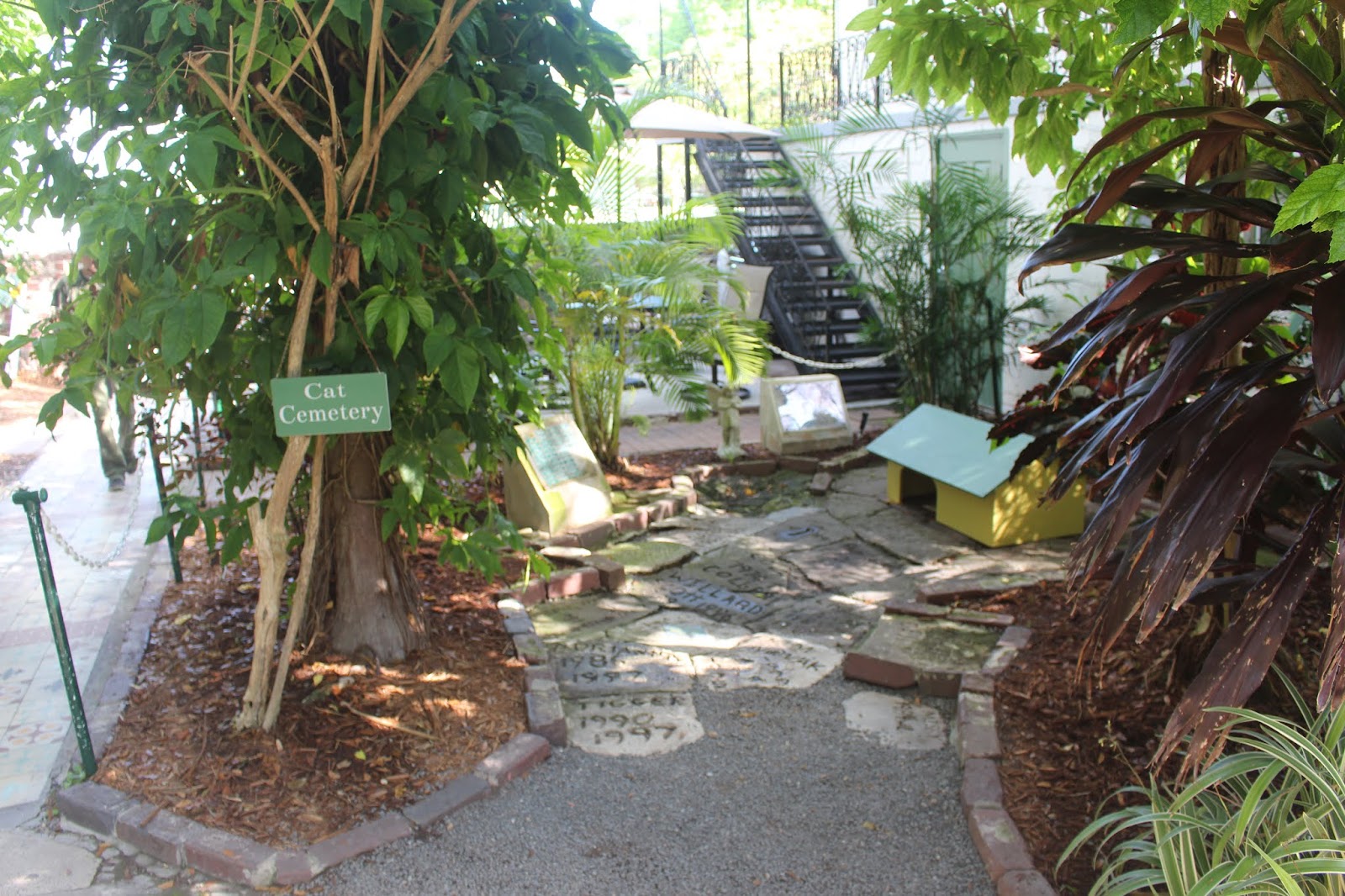 Armand's Rancho Del Cielo James Bond and Hemingway House