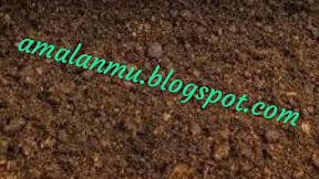 Jimat Pelarisan Aji Kantong Semar Dagang Supaya Warung Ramai Pembeli Tidak Sepi Lagi