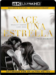 Nace una Estrella (2018) 4K 2160p UHD [HDR] Latino [GoogleDrive] 