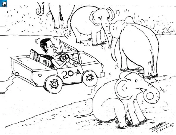 Wild Elephants made static owing to 20 car of Maithripala (Thursday's cartoon)