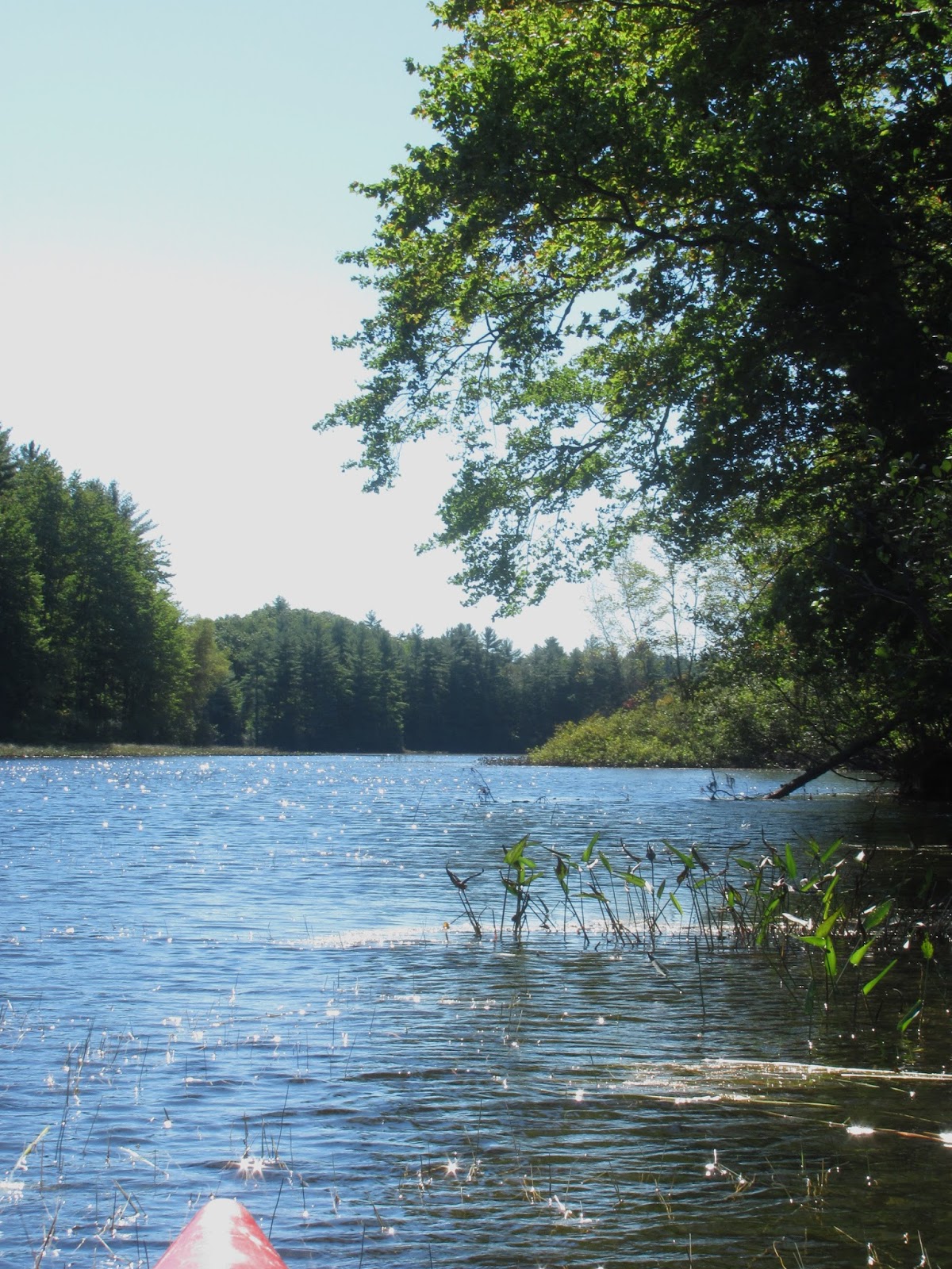 Recreational Kayaking in Maine Destinations List... Updated August 2020