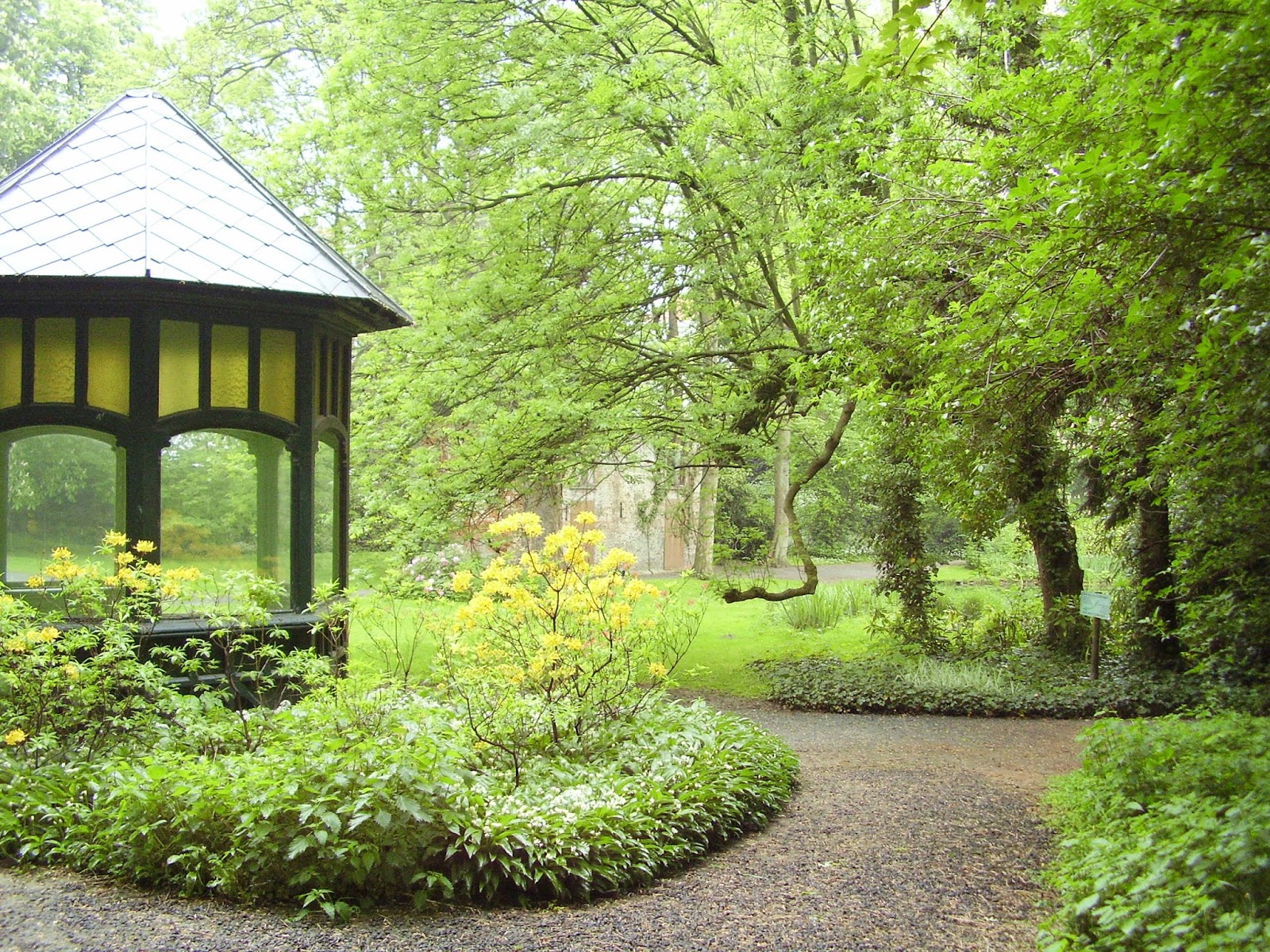 Hogar 10: Cómo hacer que tu patio sea un jardín paradisíaco