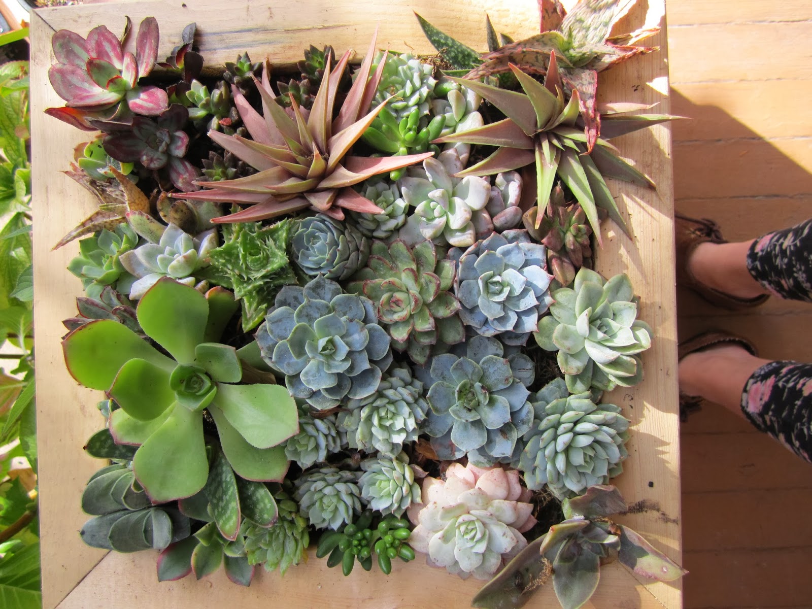 Branching Out Floral Designs: The Living Collection