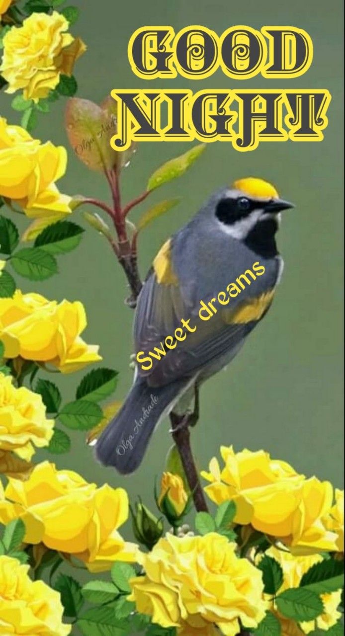 good night cute images