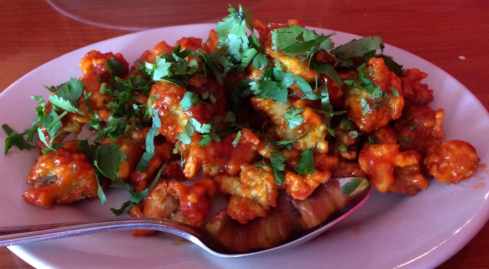 Himalayan Range Nepali Restaurant Review Cary, NC Blue Skies for Me