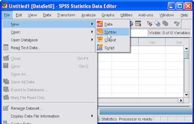 SPSS : Enter Data via Syntax Editor