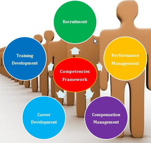 competency based hr process management model human resources diwan edi layers vision