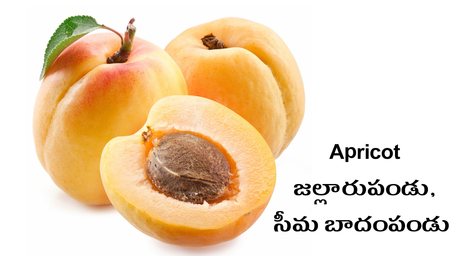 FRUITS PHALAMULU Picture Dictionary English Telugu
