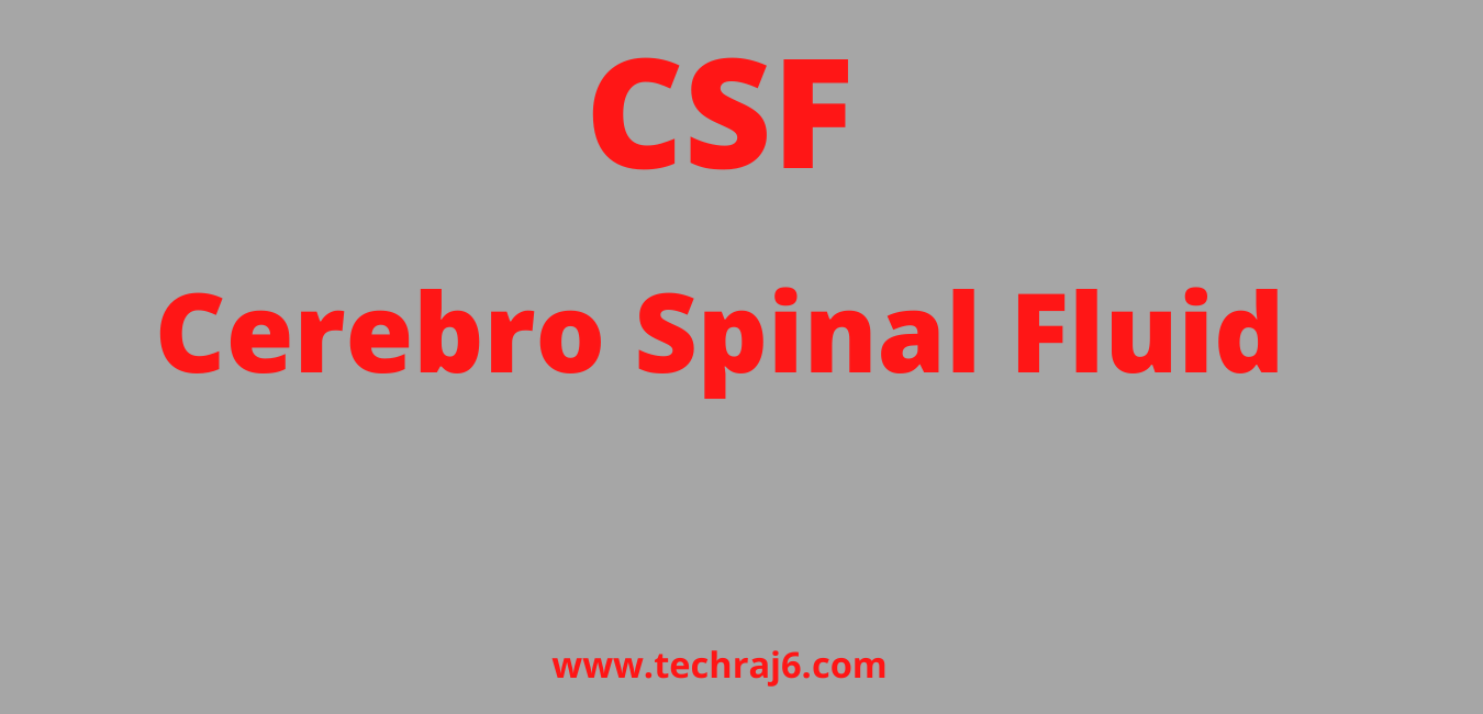 CSF full form, What is the full form CSF