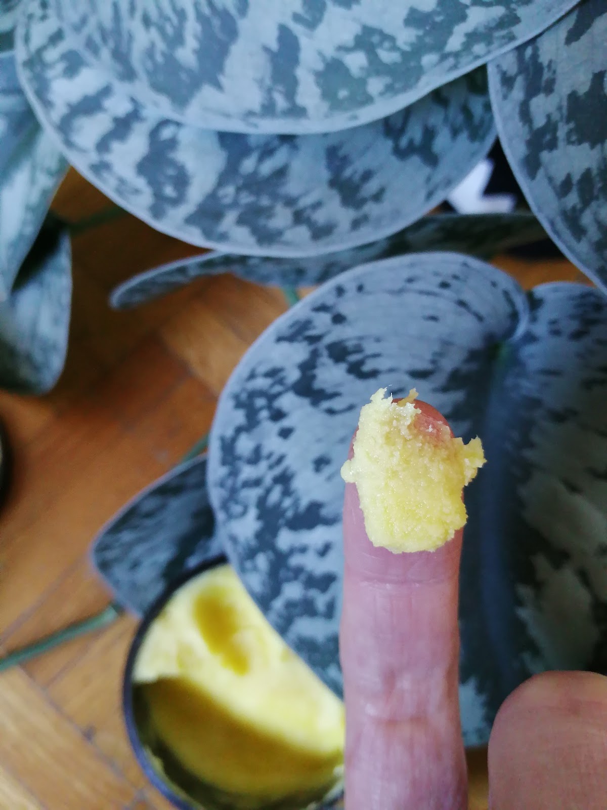 Review The Butters Cocoa Butter Lube Oh Glow