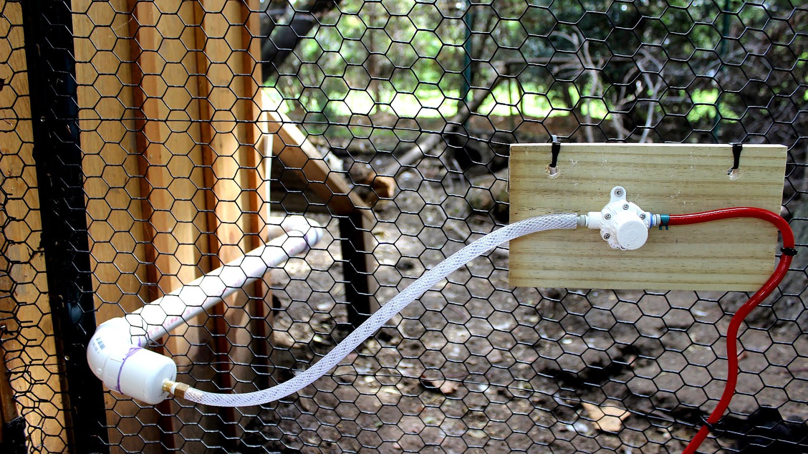 Chicken Water System Diy DIY Choices