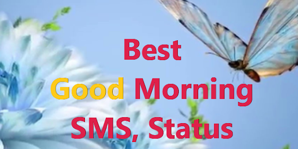 100+ Happy Good Morning, सुप्रभात Status, Messages and Quotes