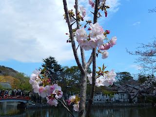 ���q���˃��J