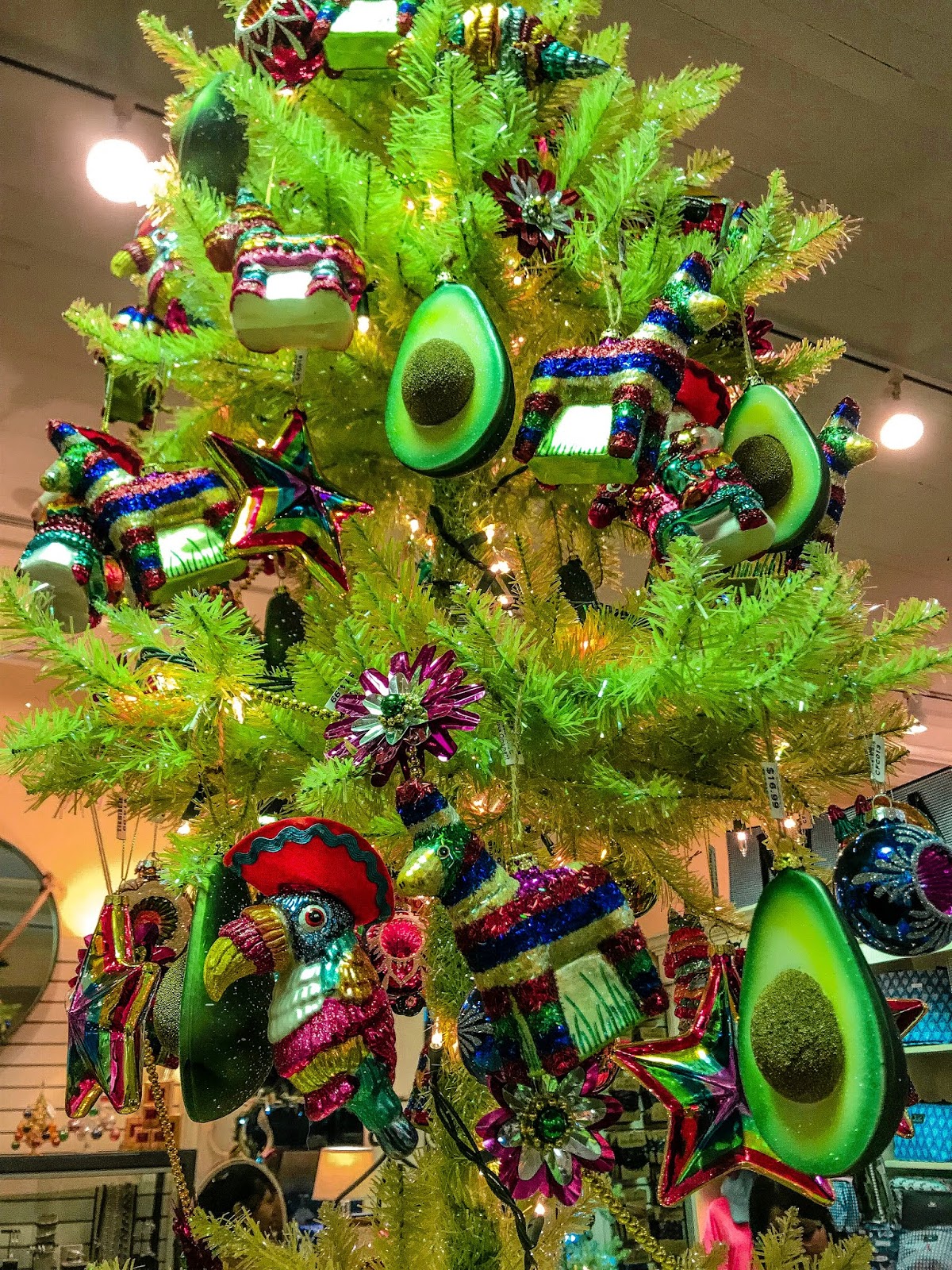 15+ Best Things to Do In Galveston During The Holidays