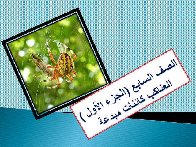 شرح درس العناكب كائنات مبدعة