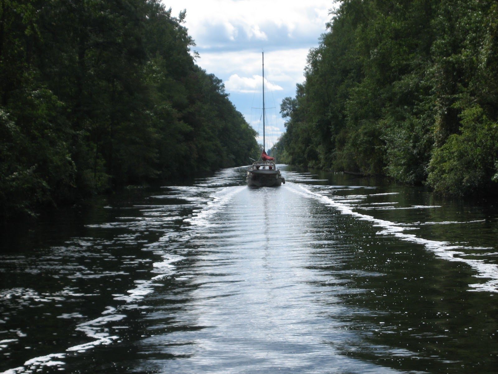 Scott Michelle Voyage Journey into The Dismal Swamp
