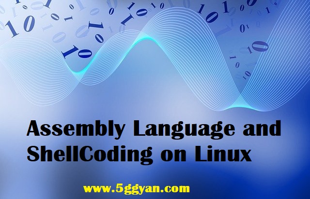 Assembly language and Shellcoding on linux course free download