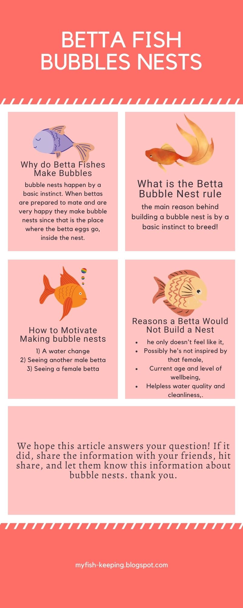 Why Do Betta Fish Make Bubbles? [Exclusive facts you need to know