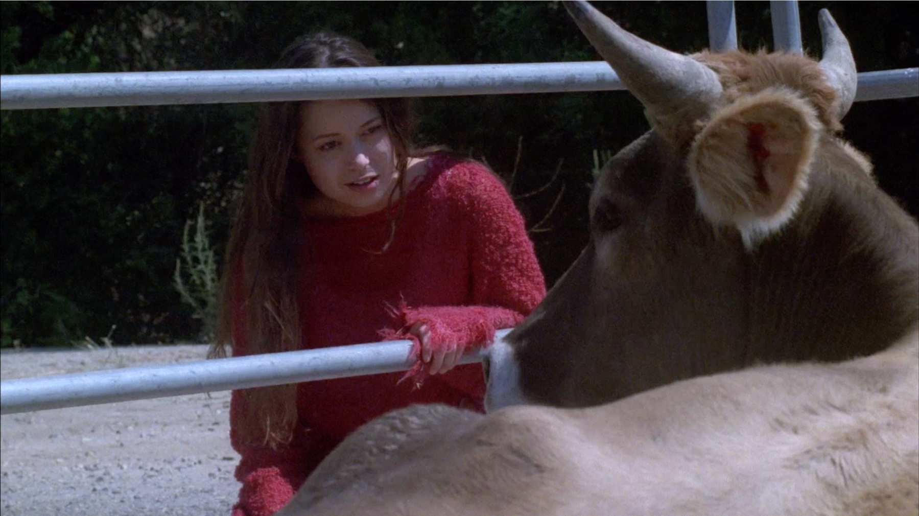 The Eye of Ra Firefly "Safe" (TV Episode Review 36)