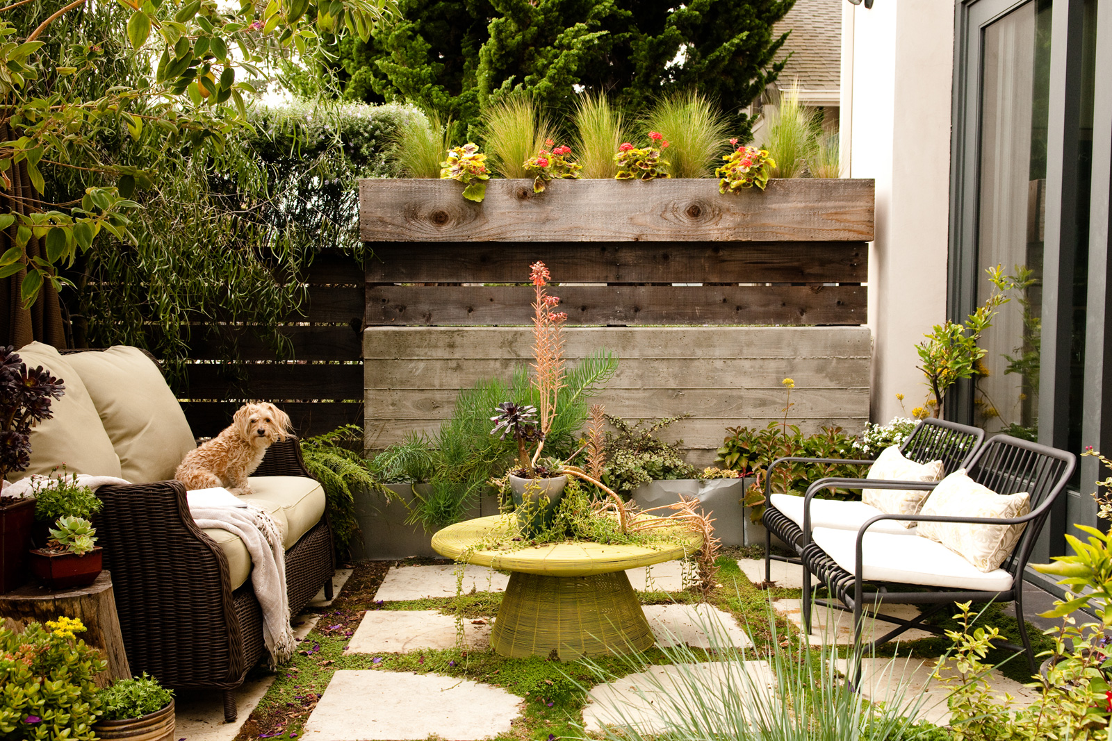 How to improve Your Backyard, Small Backyard ideas on a Budget