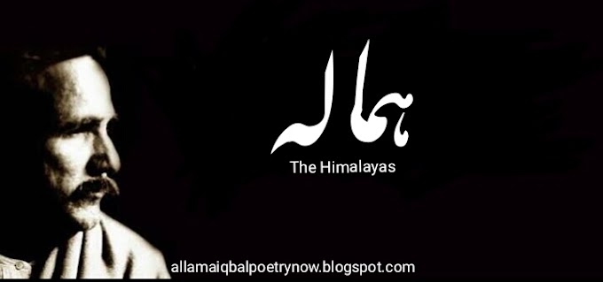 Hamala(The Himalayas), Allama Iqbal - Baang e Dara