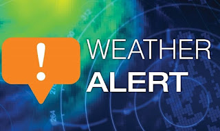 blog untuk belajar seo dan blog