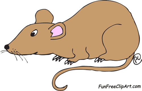 free rat cartoon clipart - photo #49