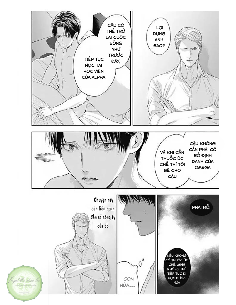 Đọc truyện Cô Dâu Của Alpha - Chapter 6