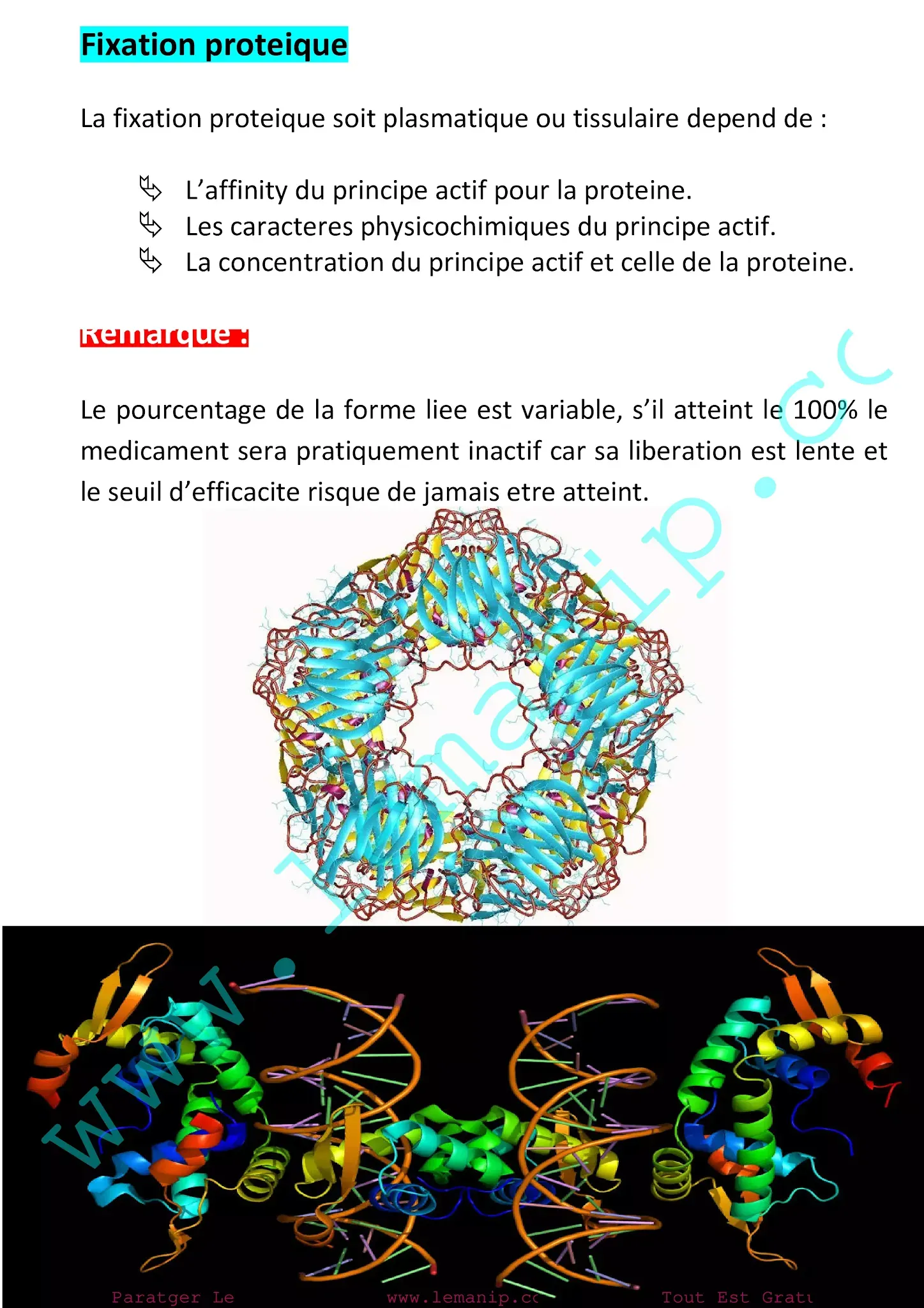 Fixation proteique