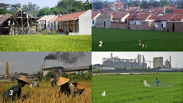 Lembar Kerja Peserta Didik 'Konversi Lahan Pertanian Terhadap Perubahan