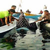 Nelayan Warga Pulau Sanane di Temukan Tewas