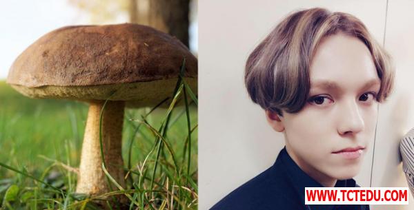 Chắc vì chọc giận stylist tóc nên nhiều sao Hàn mới phải ăn Chắc vì chọc giận stylist tóc nên nhiều sao Hàn mới phải ăn