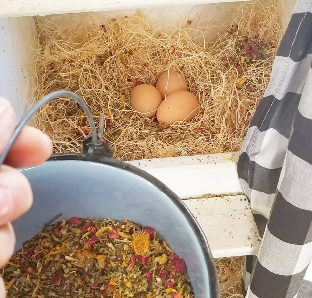 eggs in nest with pail of dried herbs