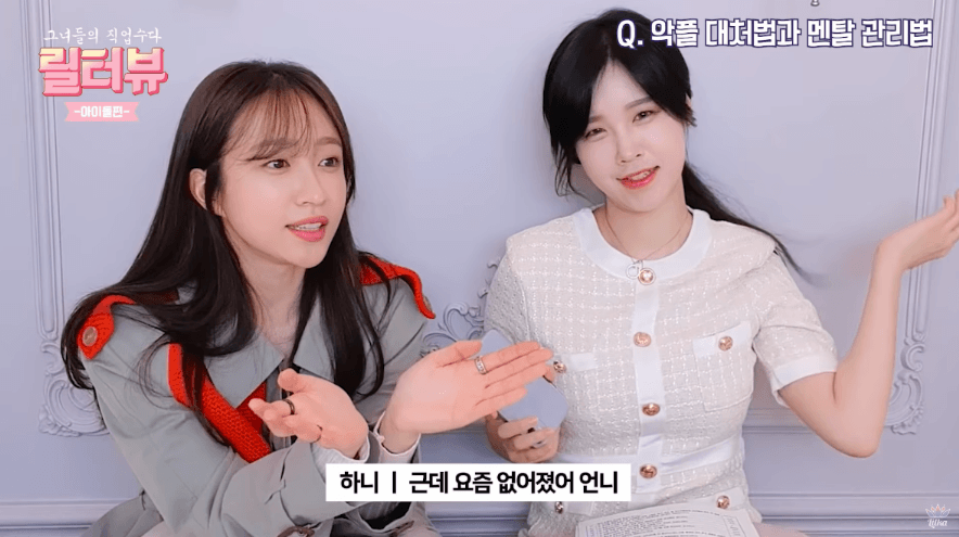 연예기사 댓글란을 없애줘서 너무너무 감사하다는 EXID 하니