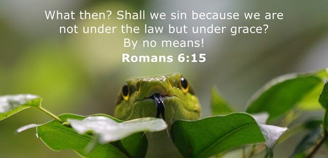 What then? Shall we sin because we are not under the law but under grace? By no means! 