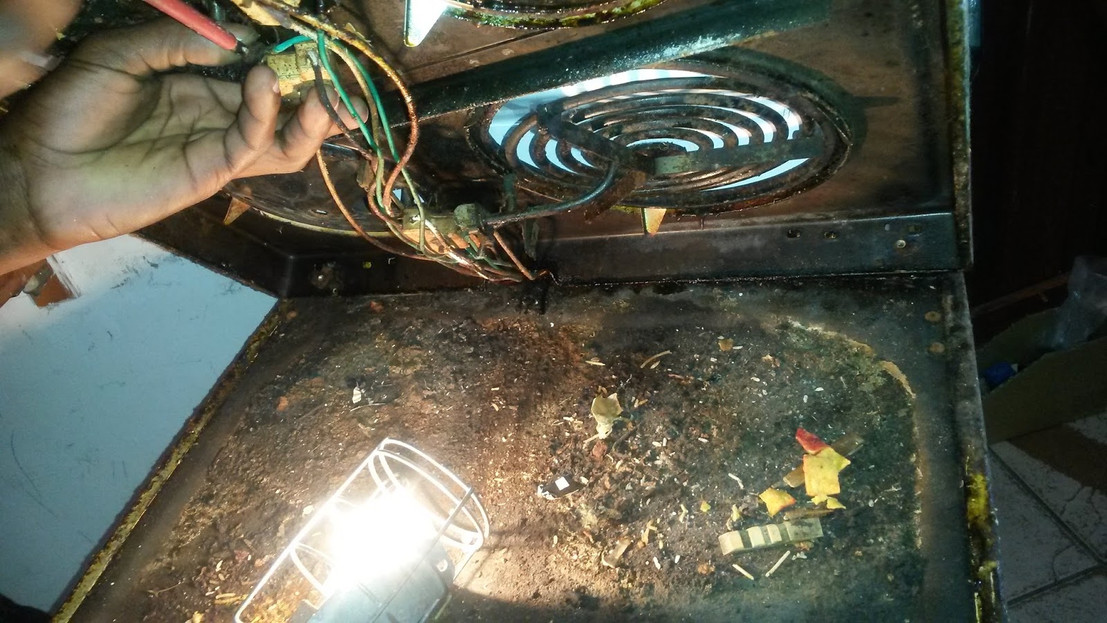 All APPLIANCES_____ Ovens and Stoves Cleaning