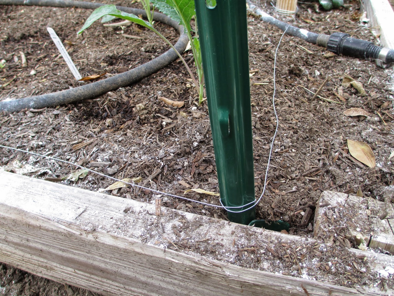 Andie's Way: Making Bigger Cabbage Row Covers