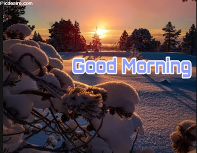 These Best 99+ Good Morning Images will make your day These Best 99+ Good Morning Images will make your day