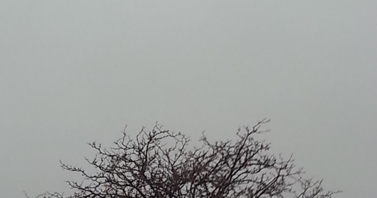 Slow as molasses in January