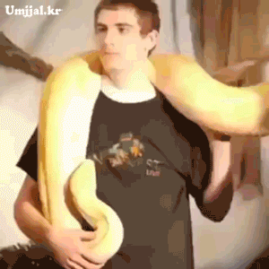 umjjal_kr_120.gif