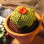 http://www.galamigurumis.com/cactus-facil-facil-mas-patrones/