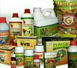 www.agenpupuksupernasa.com agen penjual pupuk nasa di sumbawa