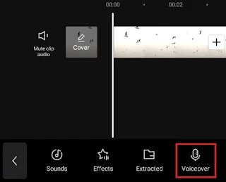choose voiceover option