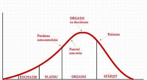 erecția punctului corpului