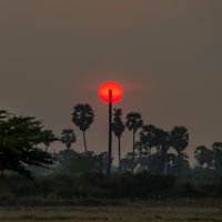 The red sun